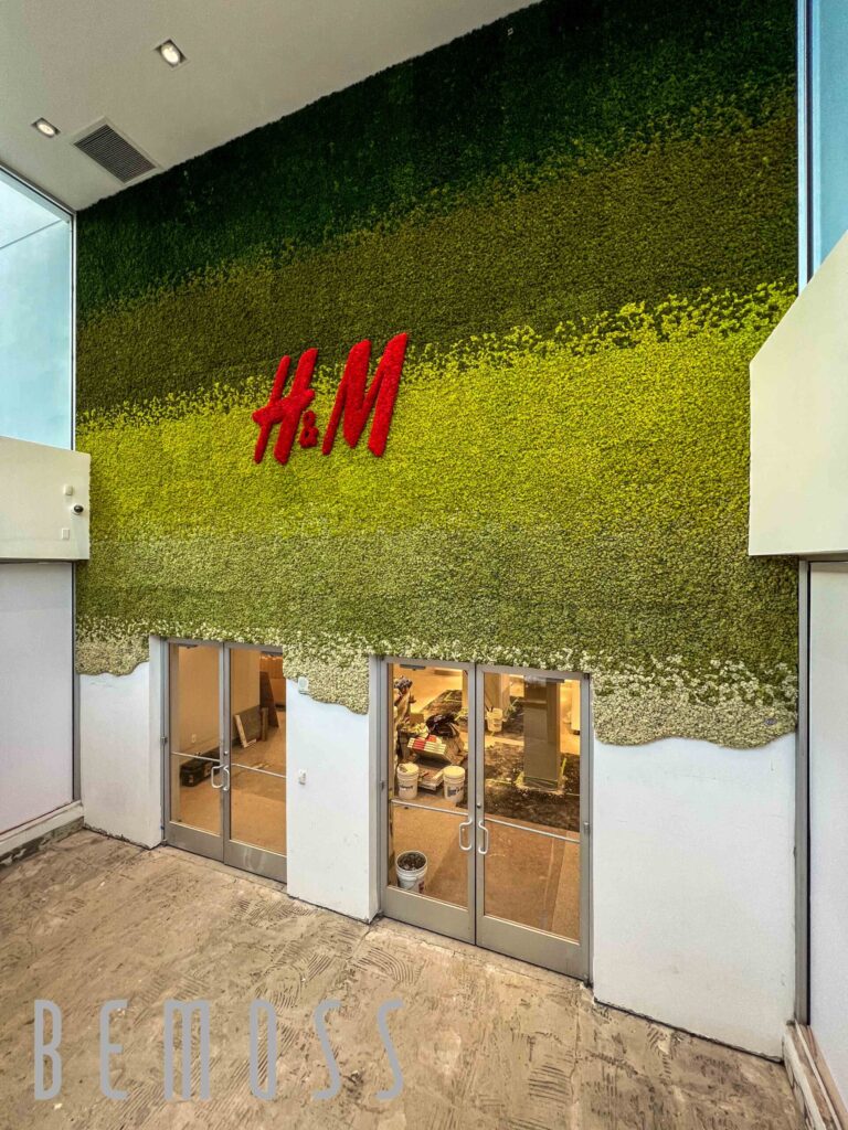 Machová stena , bemoss , mach , zelené steny , interiér , dom , farebné , rastliny , machový obraz , logo , H&M , firma