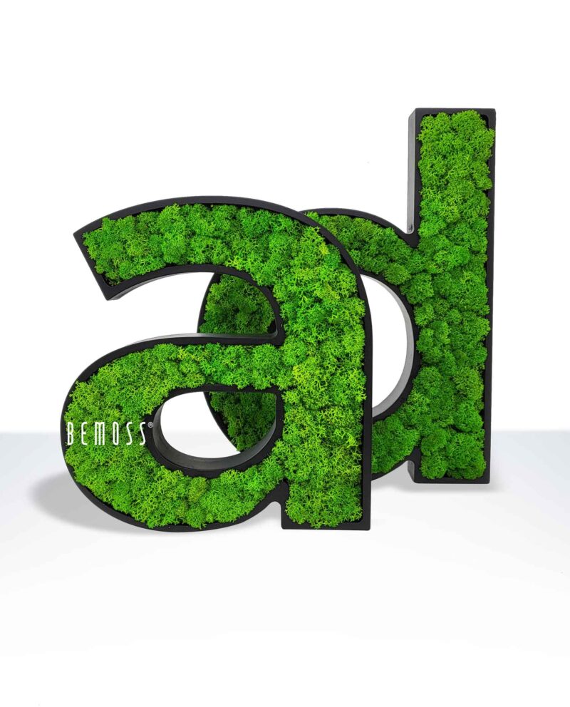Moosbuchstaben