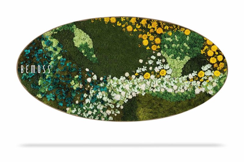 Moosbild Ellipse PFLANZEN Acre