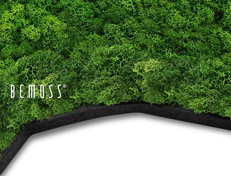 schwarzer sichtbarer Untergrund ISLANDMOOS