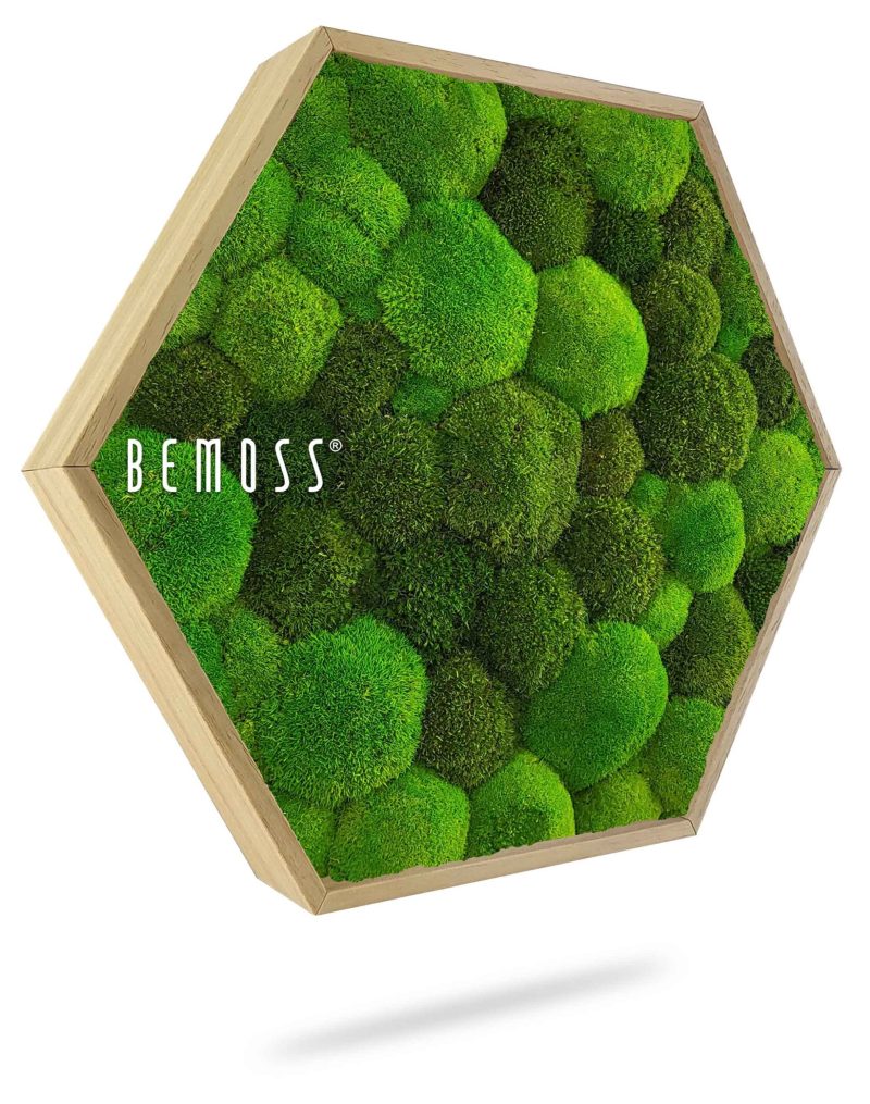 Moosbild Hexagon KUGELMOOS DUO Light Green