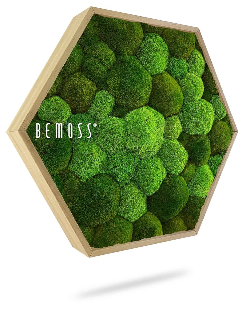Moosbild Hexagon KUGELMOOS DUO Natural Green