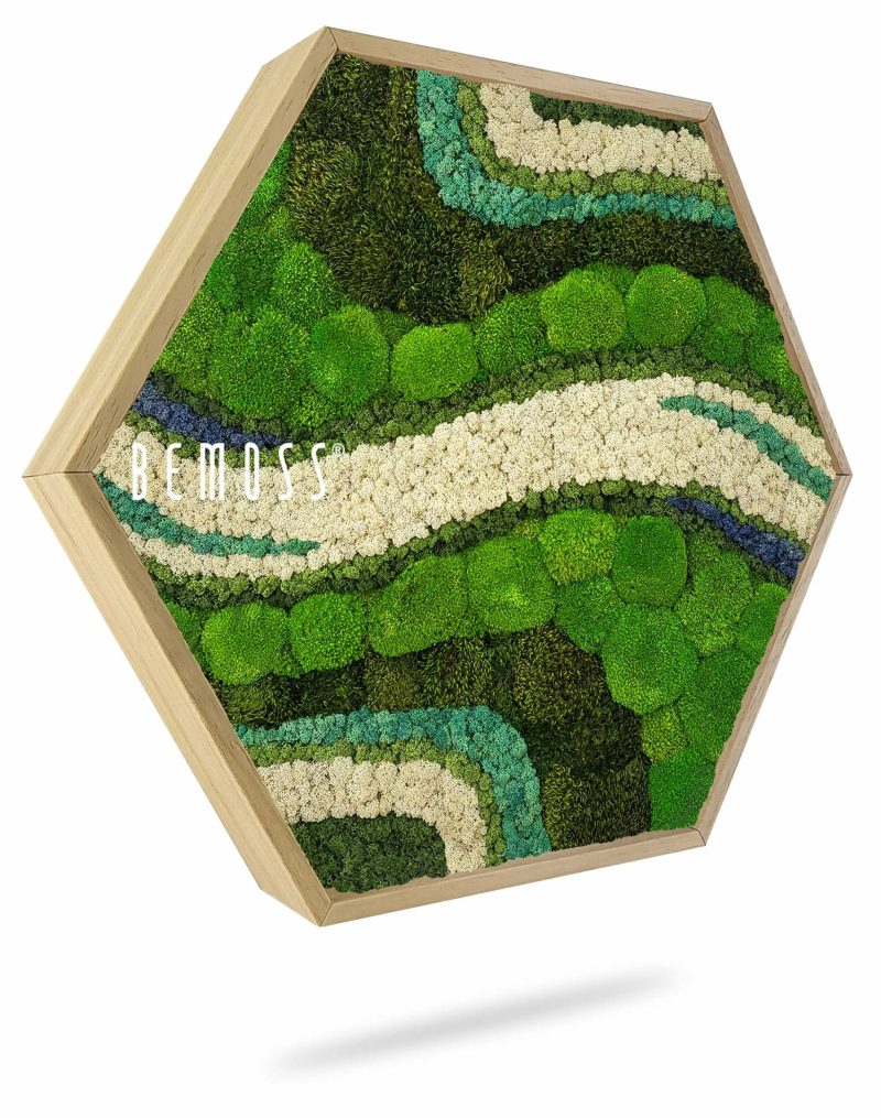 Moosbild Hexagon BEMOSS® ORTHO OLVERA
