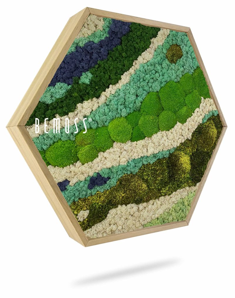 Moosbild Hexagon BEMOSS® ORTHO SWIRL