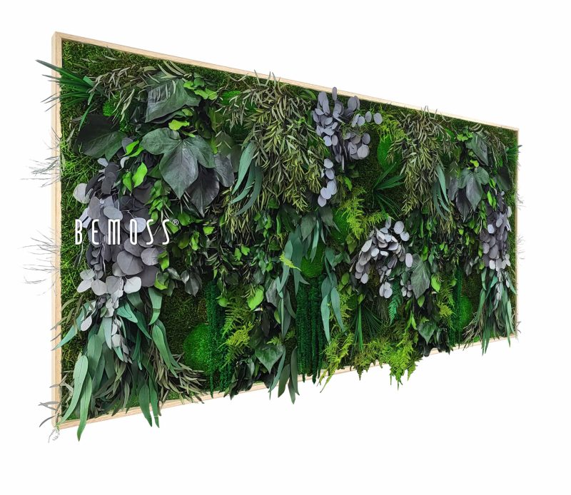 Moosbild PFLANZEN Parador