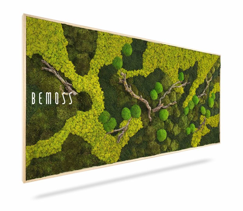 Moosbild BEMOSS® ORTHO BORJA