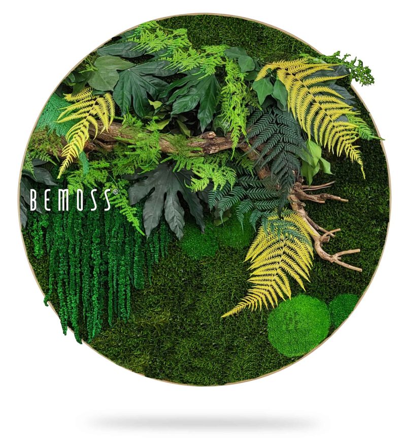 Moosbild Rund PFLANZEN Nihara