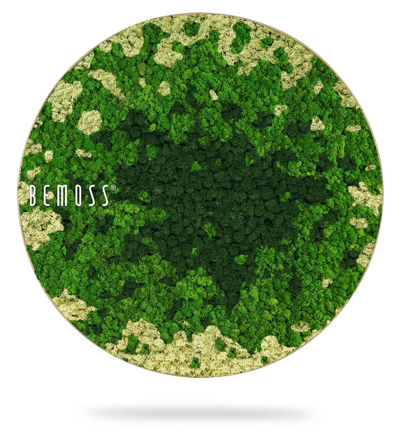 Moosbild Rund BEMOSS® SPLASH Green