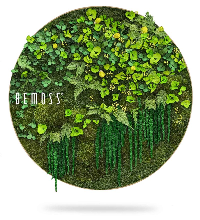 Moosbild Rund PFLANZEN Lomo