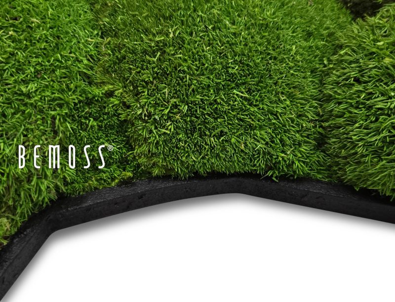 schwarzer sichtbarer Untergrund KUGELMOOS