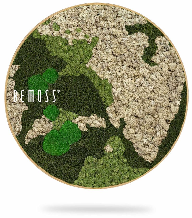 Moosbild Rund BEMOSS® ORTHO NATURAL