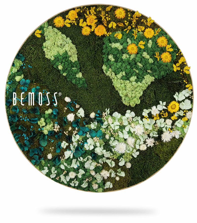 Moosbild Rund PFLANZEN Arce