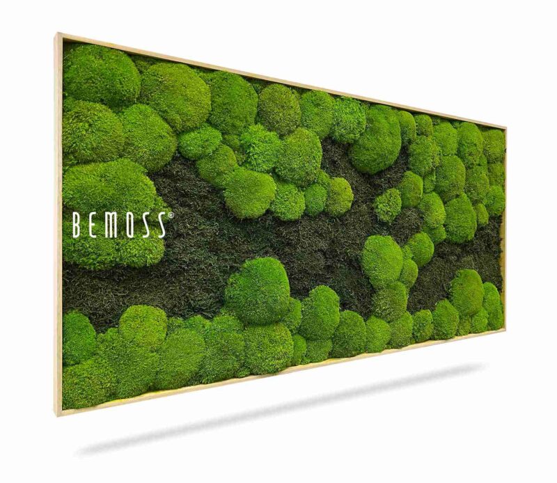 Moosbild FLACHMOOS & KUGELMOOS DUO Light Green
