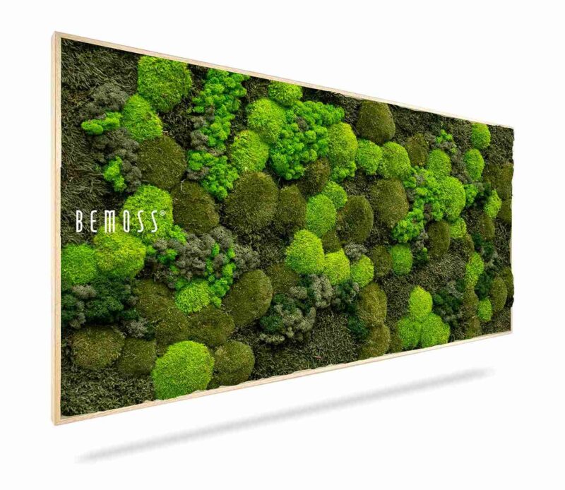 Moosbild BEMOSS® ORTHO DOVEN
