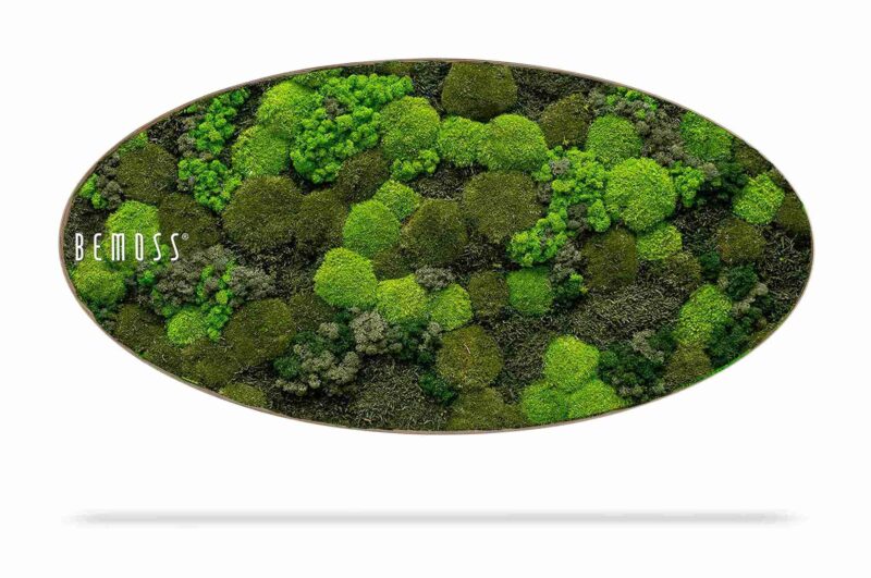 Moosbild Ellipse BEMOSS® ORTHO DOVEN
