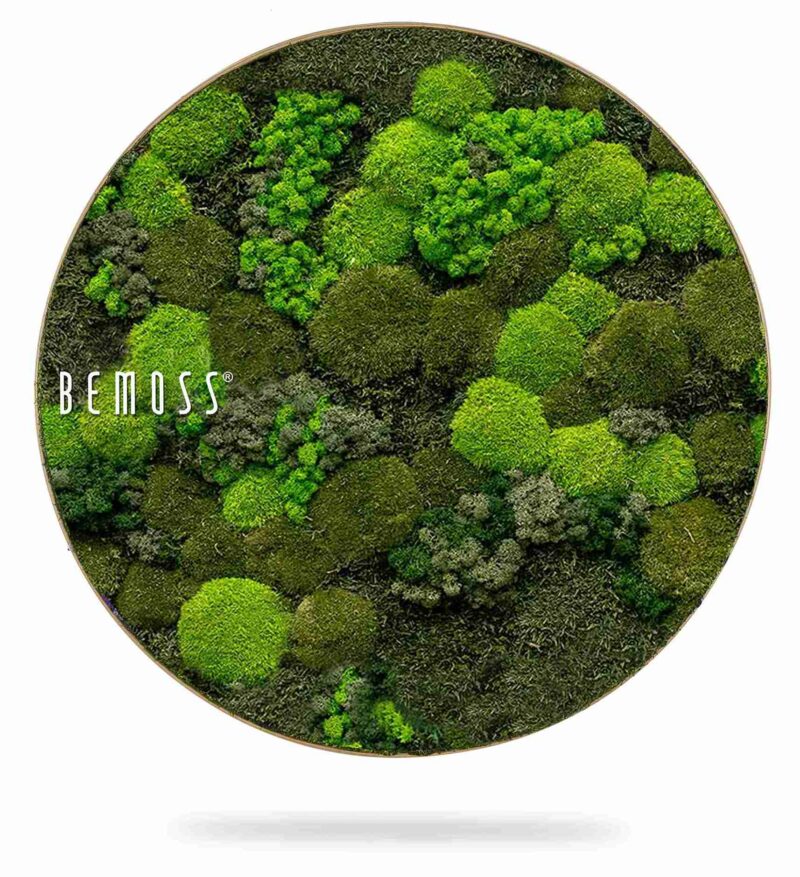 Moosbild Rund BEMOSS® ORTHO DOVEN