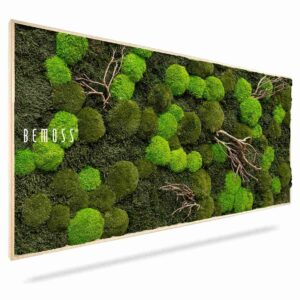 Moosbild FLACHMOOS & KUGELMOOS Doven WOOD - Thumbnail Image 1