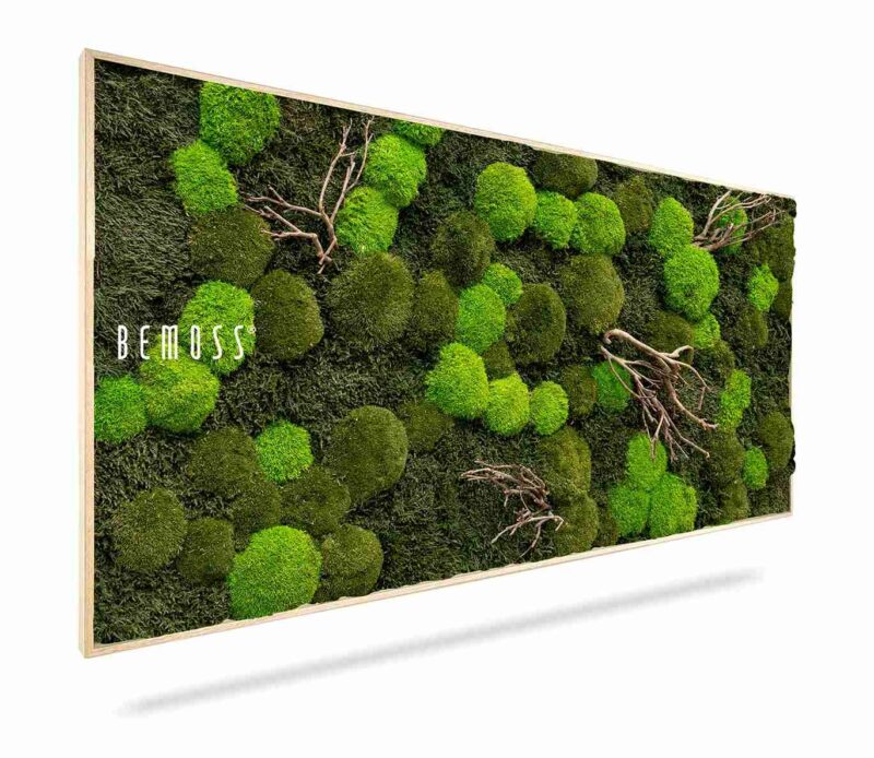 Moosbild FLACHMOOS & KUGELMOOS Doven WOOD