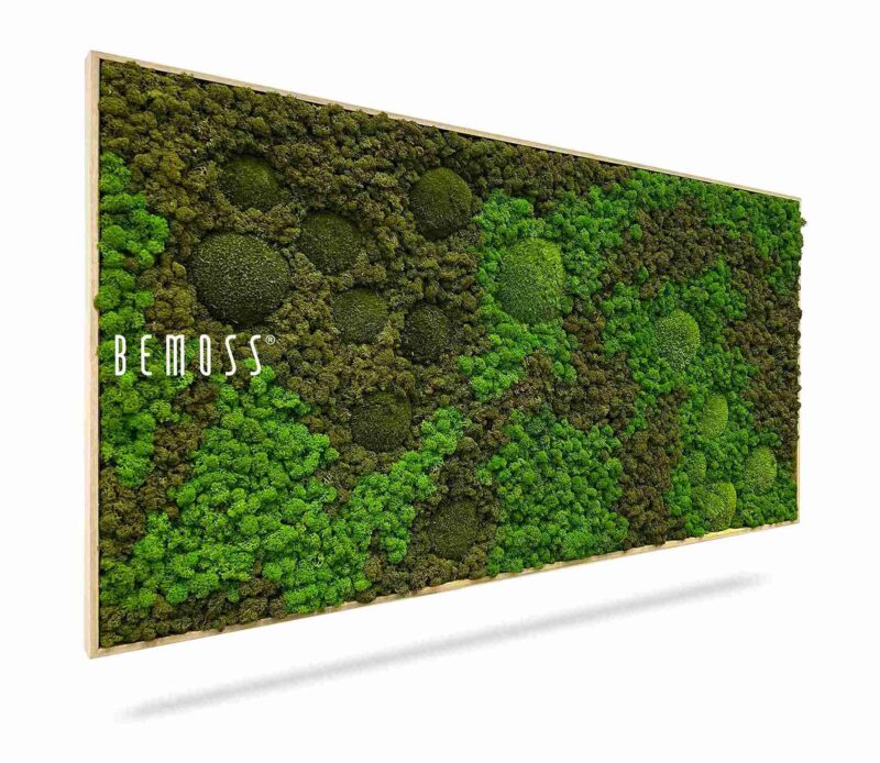 Moosbild BEMOSS® ORTHO ASEL