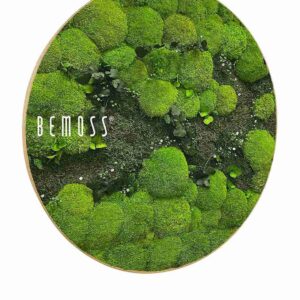 Moosbild Rund PFLANZEN Kyrin - Thumbnail Image 2