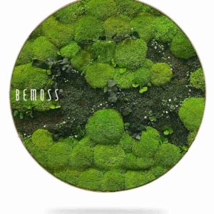 Moosbild Rund PFLANZEN Kyrin - Thumbnail Image 1