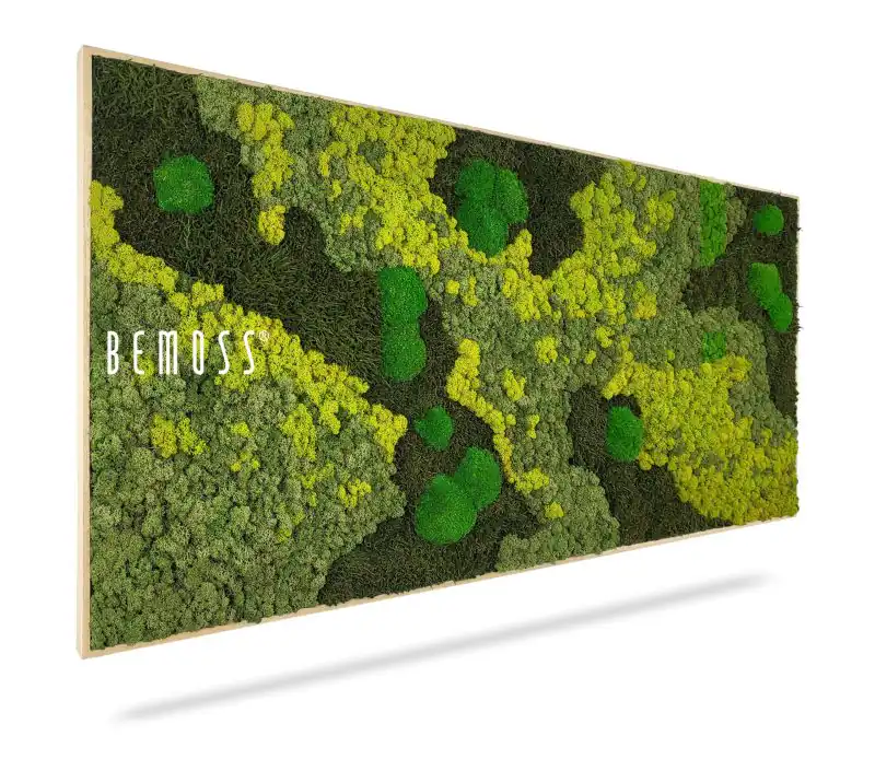 Moosbild BEMOSS® ORTHO LIME