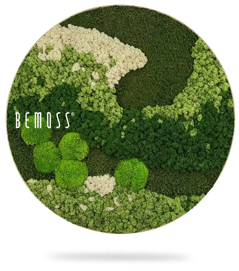 Moosbild Rund BEMOSS® ORTHO FOREST