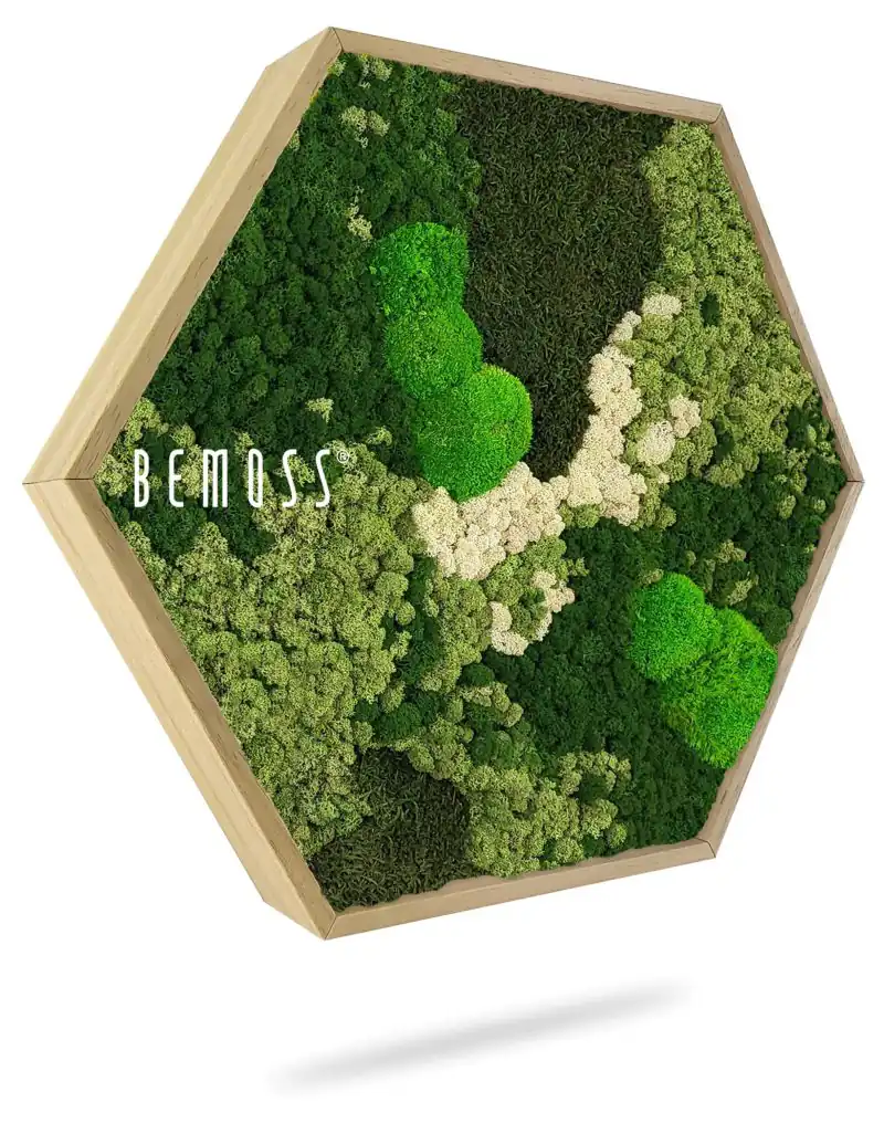 Moosbild Hexagon BEMOSS® ORTHO FOREST