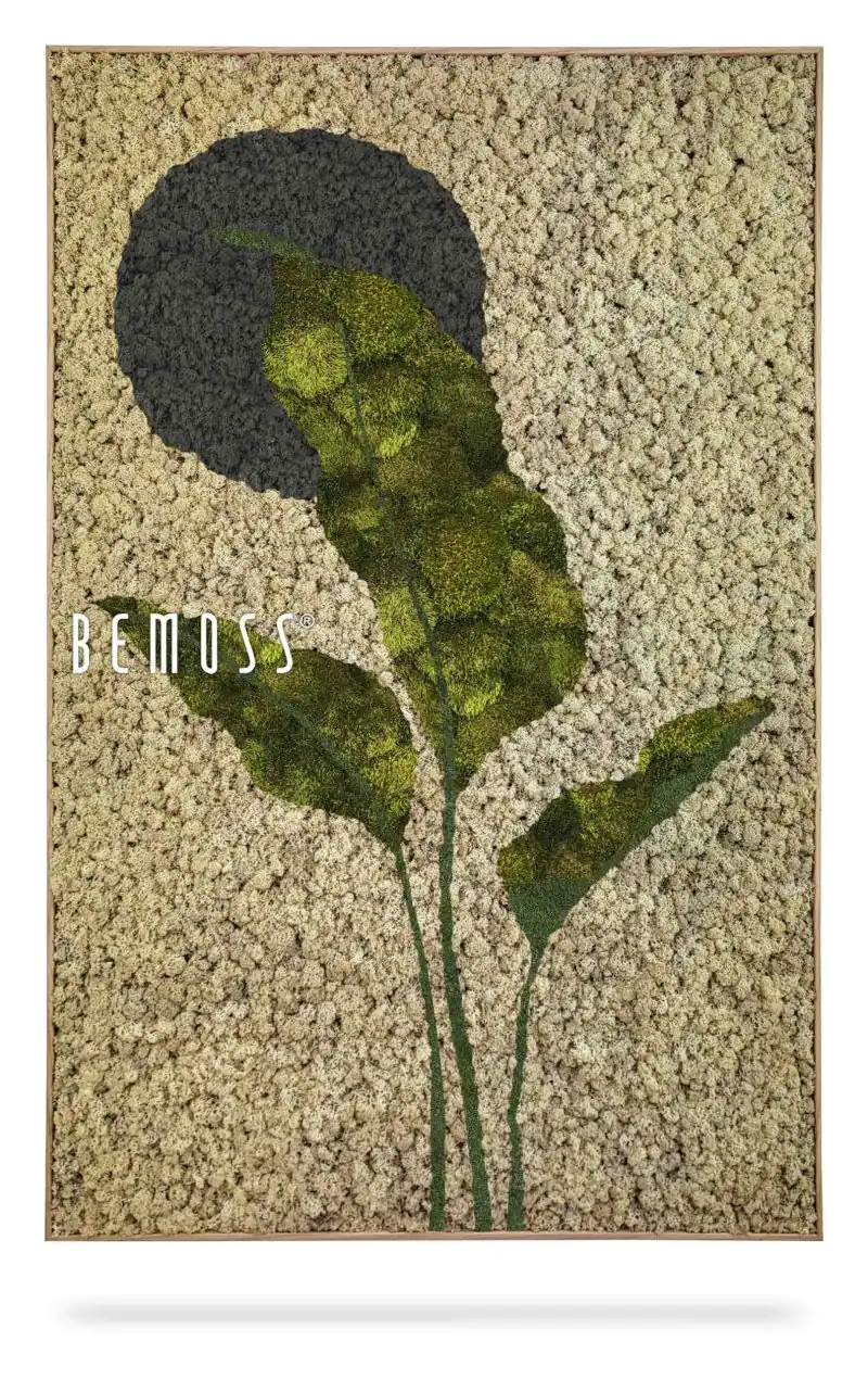 Earth Barrado
