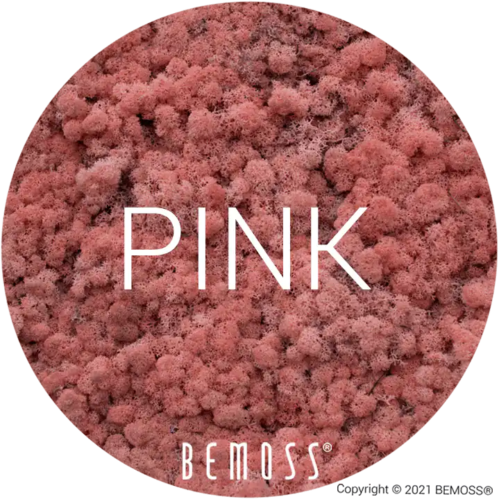 62 Pink