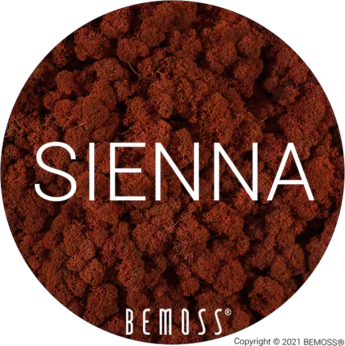 81 Sienna