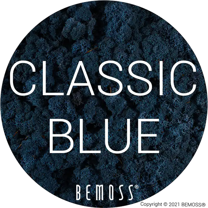 84 Classic Blue