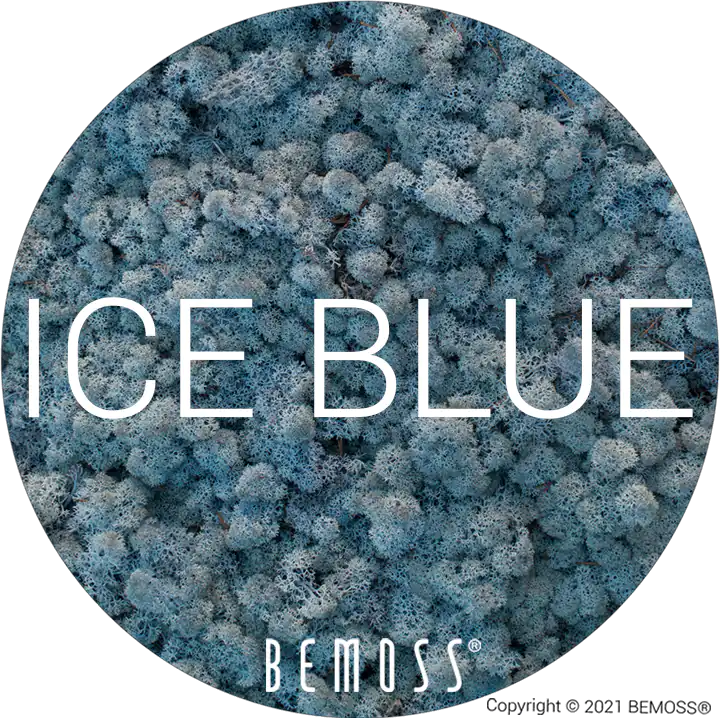 85 AQUAMARINE