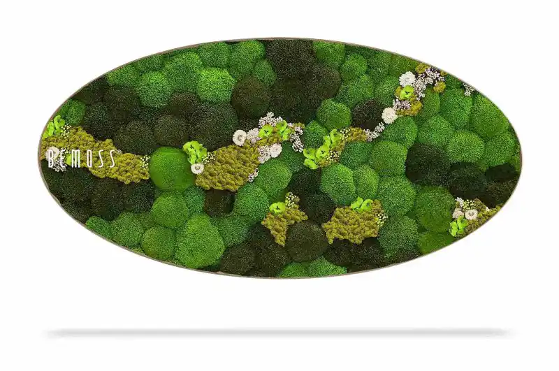 Moosbild Ellipse KUGELMOOS COSMO Lime