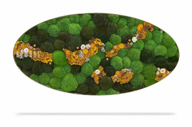 Moosbild Ellipse KUGELMOOS COSMO Yellow