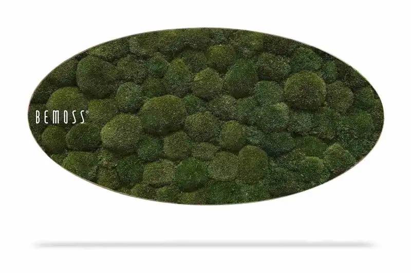 Moosbild Ellipse KUGELMOOS Natural