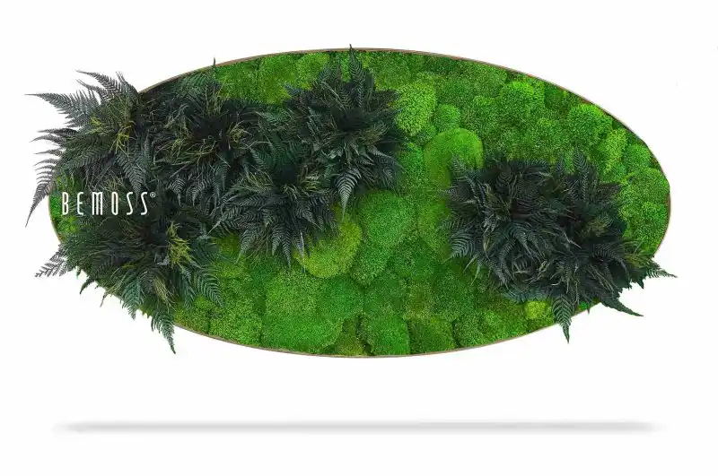 Moosbild Ellipse PFLANZEN Colila