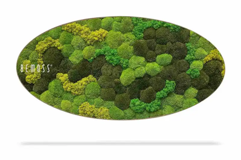 Moosbild Ellipse KUGELMOOS DUO Light Anento