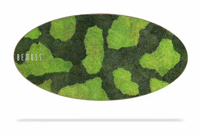 Moosbild Ellipse FLACHMOOS BOVINO