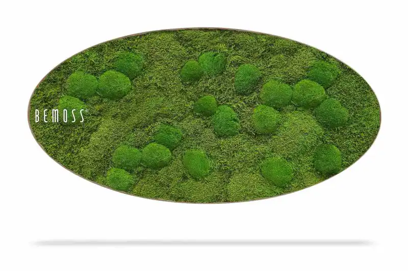 Moosbild Ellipse FLACHMOOS & KUGELMOOS Aves