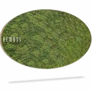 Moosbild Ellipse FLACHMOOS Light - Thumbnail Image 3