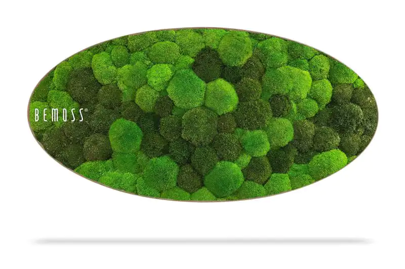 Moosbild Ellipse KUGELMOOS DUO Light Green