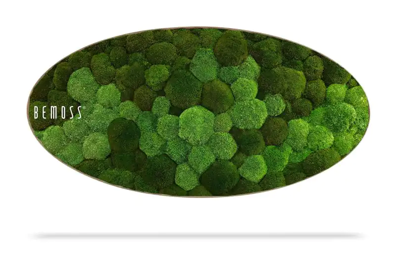 Moosbild Ellipse KUGELMOOS DUO Natural Green