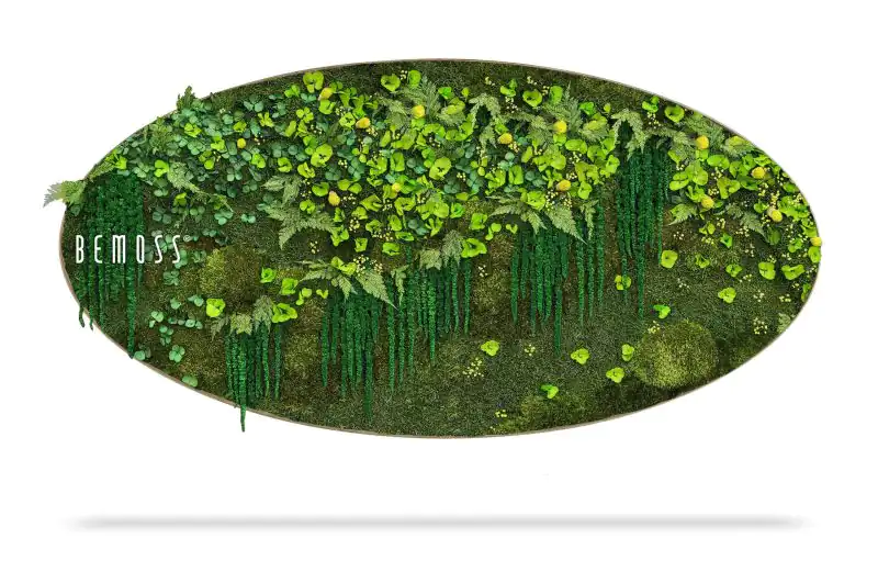 Moosbild Ellipse PFLANZEN Lomo