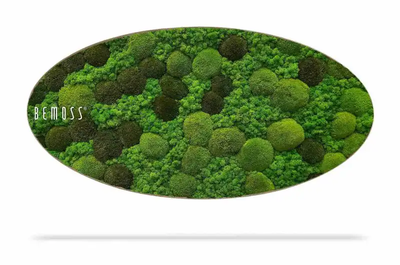 Moosbild Ellipse BEMOSS® ORTHO MONETO