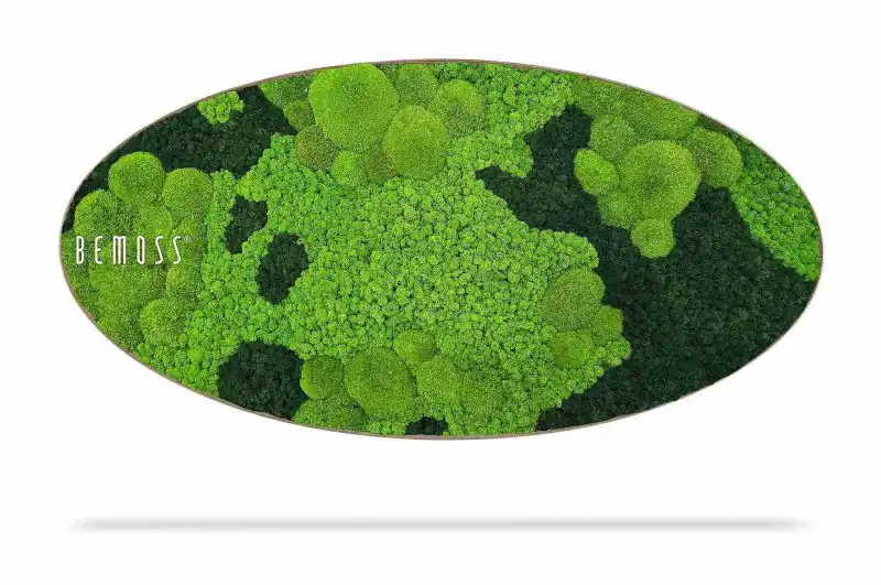 Moosbild Ellipse BEMOSS® ORTHO CORCON