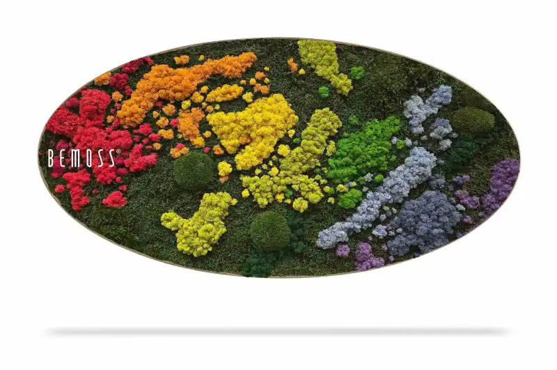 Moosbild Ellipse BEMOSS® ORTHO IRIS