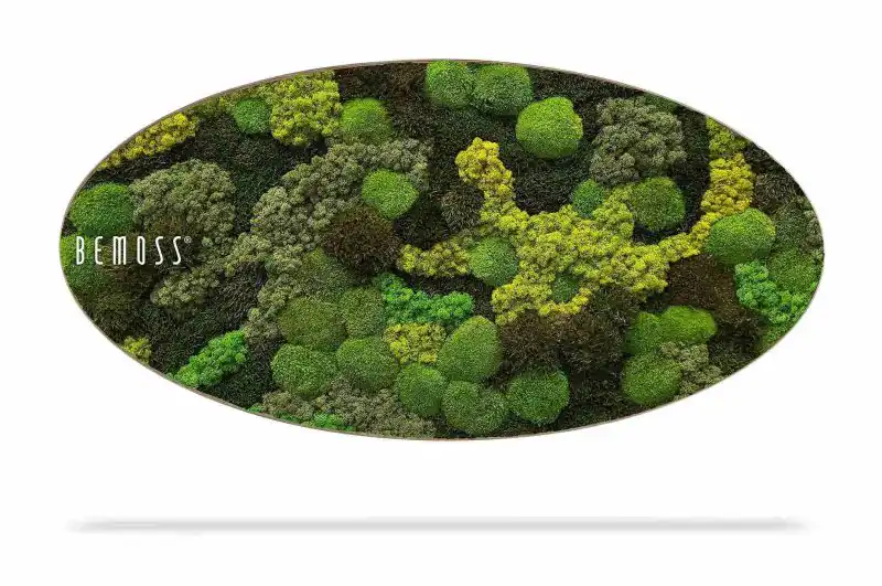 Moosbild Ellipse BEMOSS® ORTHO TELDE