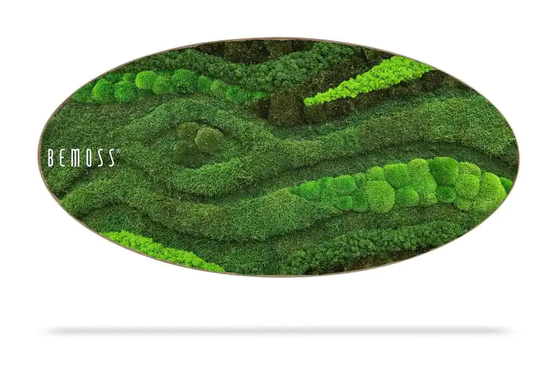 Moosbild Ellipse BEMOSS® ORTHO TOCÓN