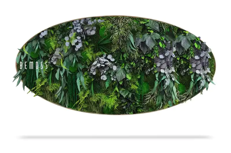 Moosbild Ellipse PFLANZEN  Parador